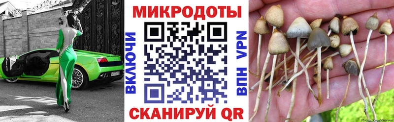 купить наркотики сайты  Севск  Псилоцибиновые грибы Psilocybe 